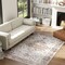 Edge Collections - 4' x 6' - Multicolor - Vintage Distressed Plush Rug!